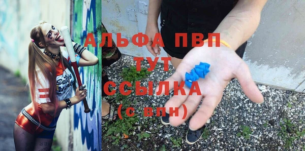 гидра Алексеевка