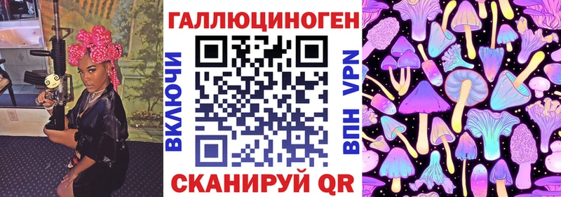 мега как войти  Иркутск  Галлюциногенные грибы Psilocybine cubensis 